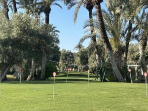 sachin and babi light blue dress Stay At The Club Med Marrakech: Everything You Need To Know Before You Book